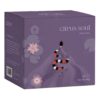 Citrus Soul - Groene citrus thee - 12 zakjes - Looom