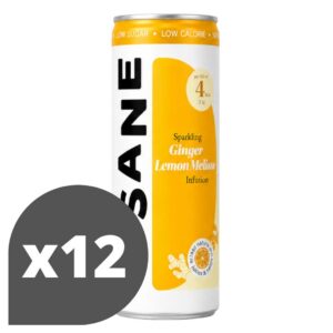 N'sane Can Ginger lemon Melisse doos 12 stuks