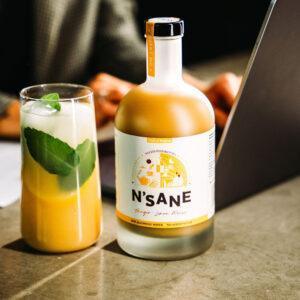 N'Sane - de mixer voor het maken van heerlijke cocktails en mocktails